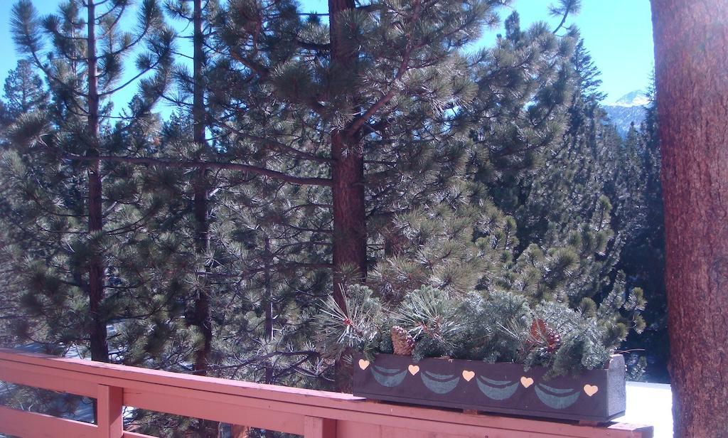 Innsbruck Lodge Mammoth Lakes Esterno foto