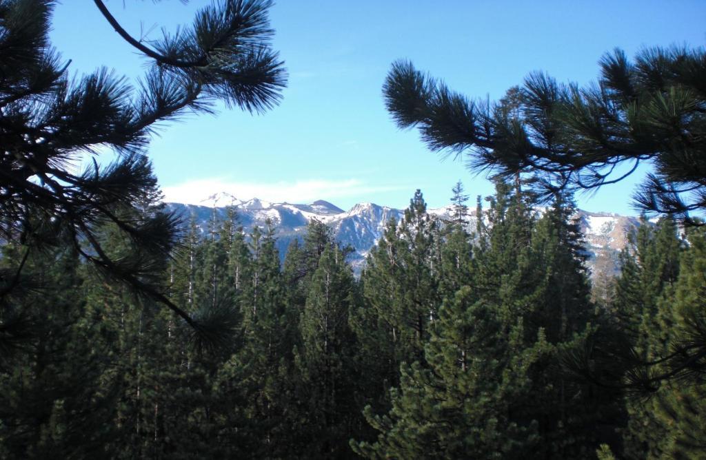 Innsbruck Lodge Mammoth Lakes Camera foto