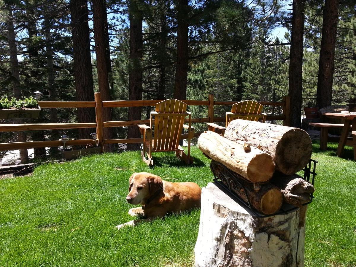 Innsbruck Lodge Mammoth Lakes Esterno foto